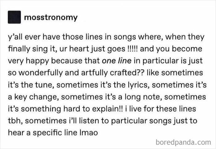 Screenshot of a social media post about loving specific song lyrics that deeply resonate, shared in a niche Facebook group.