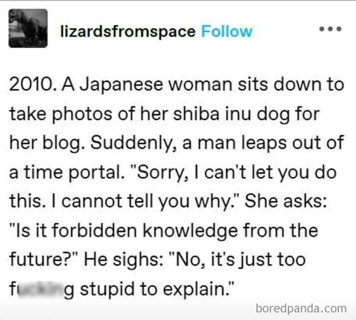 Text post meme where a man stops a woman from photographing her dog, saying the joke is too stupid to explain.