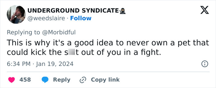 Tweet discussing the risks of owning aggressive pets, referencing a woman whose face was torn by a chimpanzee. Tweet discussing the risks of owning aggressive pets, referencing a woman whose face was torn by a chimpanzee.