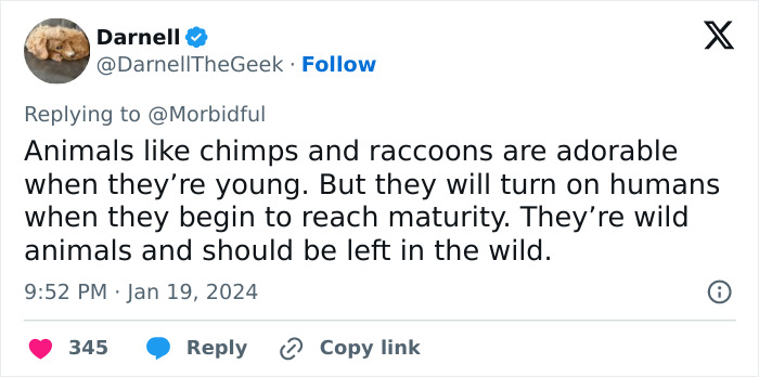 Tweet on chimpanzee behavior warning about dangers, shared by user Darnell discussing risks to humans from wild animals. Tweet on chimpanzee behavior warning about dangers, shared by user Darnell discussing risks to humans from wild animals.
