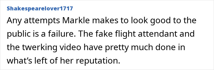 Text from user comment criticizing Meghan Markle amid flight attendant claims about her kids treated like accessories. Text from user comment criticizing Meghan Markle amid flight attendant claims about her kids treated like accessories.