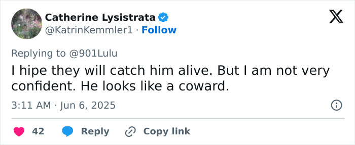 Screenshot of tweet expressing hope police catch the dad who suffocated three daughters, referencing his search history and hideout. Screenshot of tweet expressing hope police catch the dad who suffocated three daughters, referencing his search history and hideout.