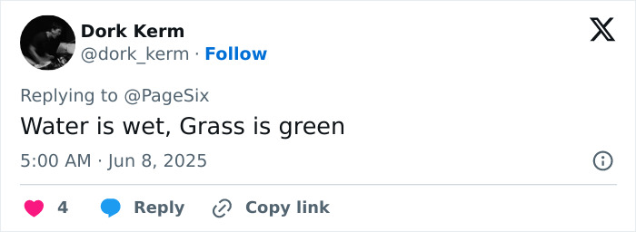 Tweet by user Dork Kerm at 5:00 AM June 8, 2025, replying to PageSix with a comment about water and grass being wet and green. Tweet by user Dork Kerm at 5:00 AM June 8, 2025, replying to PageSix with a comment about water and grass being wet and green.