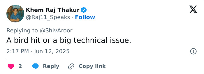 Screenshot of a Twitter reply discussing possible causes of a plane crash, mentioning bird hit or technical issue. Screenshot of a Twitter reply discussing possible causes of a plane crash, mentioning bird hit or technical issue.