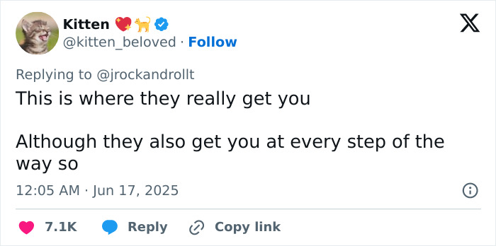 Tweet discussing unexpected high Disneyland breakfast bill and people mocking dad for being shocked by $1K charge. Tweet discussing unexpected high Disneyland breakfast bill and people mocking dad for being shocked by $1K charge.