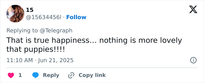 Tweet praising the happiness puppies bring in response to Kate Middleton’s post of Prince William’s puppy for his 43rd birthday. Tweet praising the happiness puppies bring in response to Kate Middleton’s post of Prince William’s puppy for his 43rd birthday.