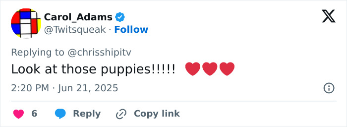 Tweet from Carol_Adams expressing excitement about puppies with heart emojis, related to Kate Middleton and Prince William. Tweet from Carol_Adams expressing excitement about puppies with heart emojis, related to Kate Middleton and Prince William.