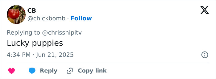 Kate Middleton shares cute puppy photo of Prince William celebrating his 43rd birthday, honoring Diana's memory. Kate Middleton shares cute puppy photo of Prince William celebrating his 43rd birthday, honoring Diana's memory.