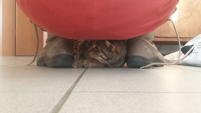 Under My Squatting Mother's Bottom