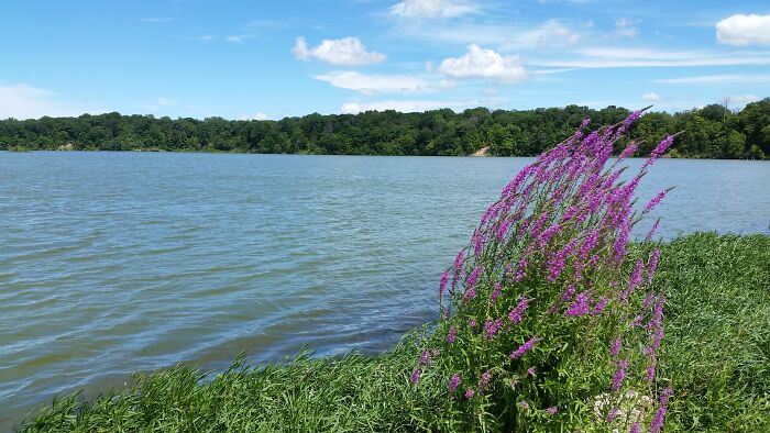 Eagle Creek Reservoir