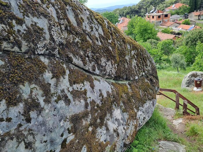 A Moray Eel From Granite