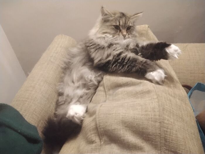 A Little Help Please. Chair Eating Me