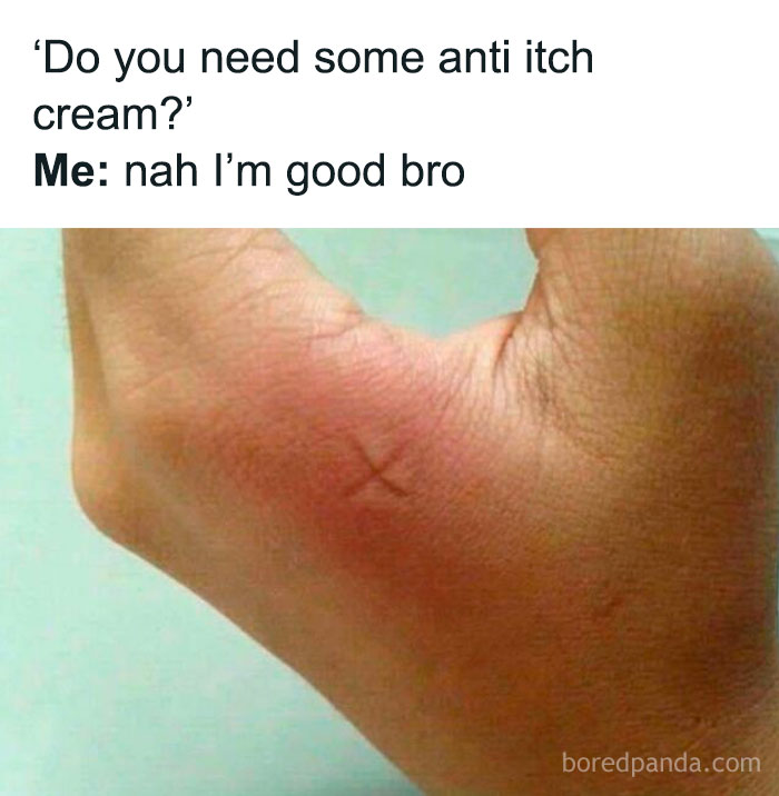 Hand with a red itchy bump and text joke asking for anti-itch cream, illustrating memes people didn't understand and explain.