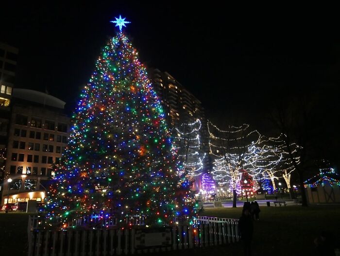 Large Christmas tree decorated with colorful lights at night in a public park, illustrating historical facts theme.
