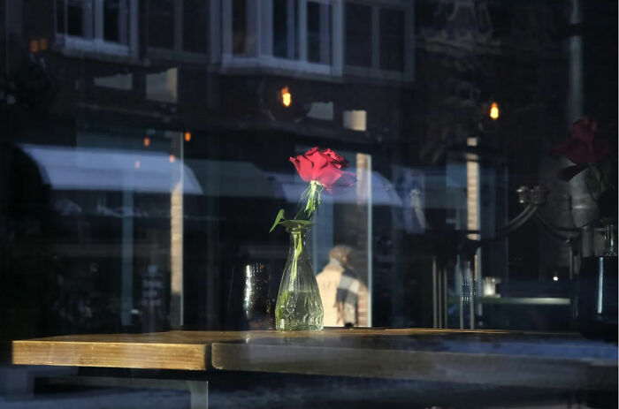Red rose in a glass vase on a wooden table, reflecting street scenes in a window, capturing the poetry of everyday life.