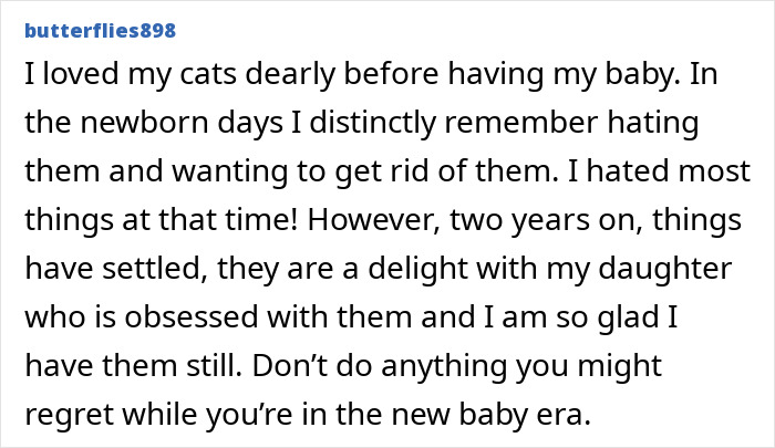 User sharing personal story about refusing to let rehome cat despite newborn challenges, describing changed feelings over time. User sharing personal story about refusing to let rehome cat despite newborn challenges, describing changed feelings over time.