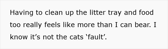 Person expressing frustration about cleaning a cat litter tray and food while refusing to let rehome cat. Person expressing frustration about cleaning a cat litter tray and food while refusing to let rehome cat.