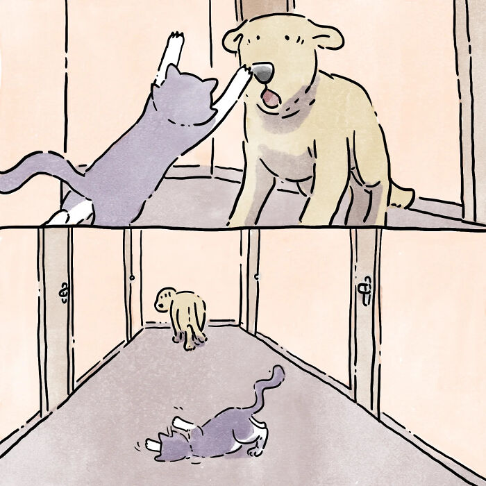 Wordless comic showing heartfelt life moments between a dog and a cat in a simple hallway setting.