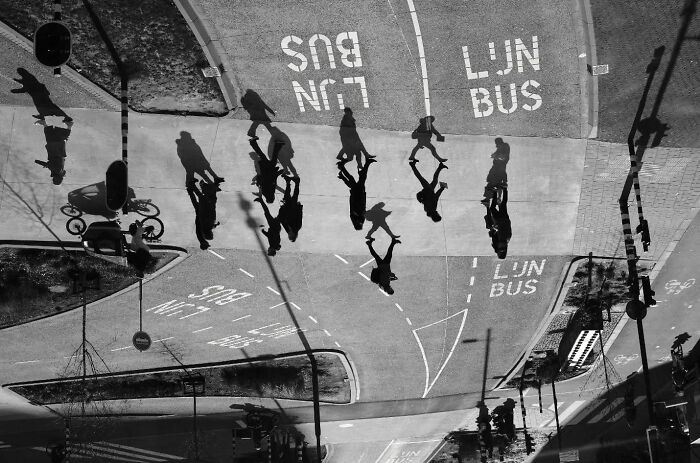 Overhead street shot showing pedestrians and cyclists casting long shadows, capturing the poetry of everyday life in urban scenes.