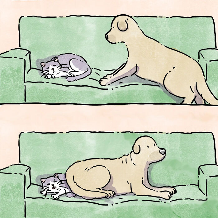 Comic panels showing a dog and cat sharing a couch, illustrating heartfelt moments in life with pets.