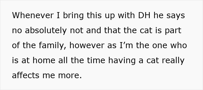 Text discussing the impact of refusing to let rehome a cat, emphasizing the cat as part of the family. Text discussing the impact of refusing to let rehome a cat, emphasizing the cat as part of the family.