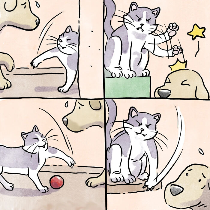 Heartfelt wordless comics showing life moments between a dog and a cat in six playful illustrated scenes.