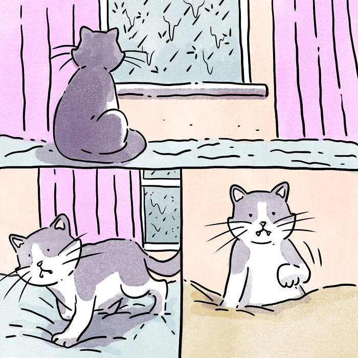 Illustration of a gray and white cat in a wordless comic about life with a dog and a cat.