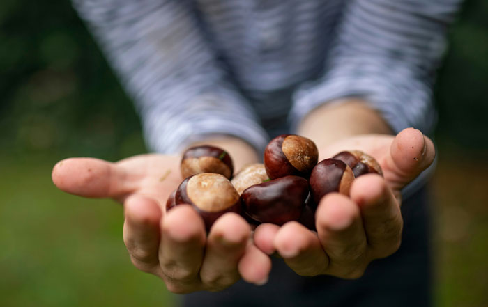 People Share 47 Old Wives' Tales They Thought Were Nonsense Until They Tried Them As A Last Resort