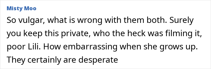 Screenshot of an online comment criticizing a video, mentioning vulgarity and privacy concerns related to Meghan Markle’s pregnancy. Screenshot of an online comment criticizing a video, mentioning vulgarity and privacy concerns related to Meghan Markle’s pregnancy.