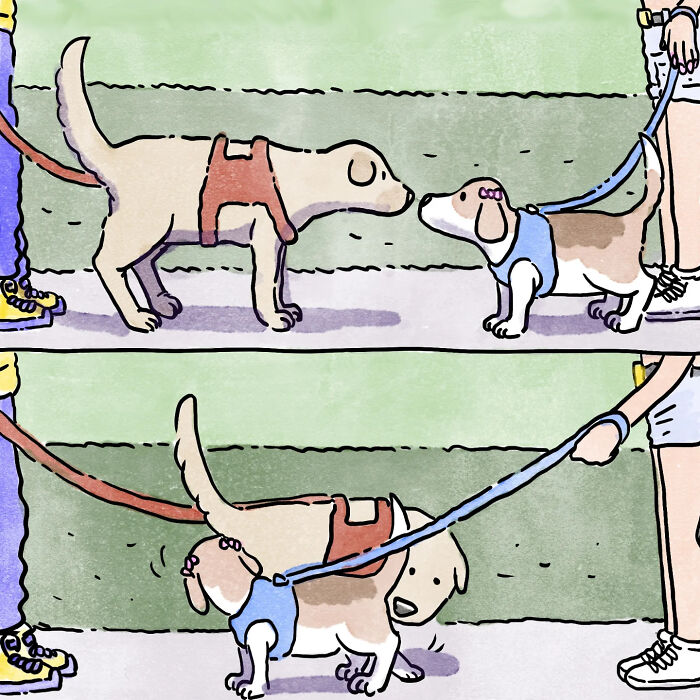 Two dogs meeting and exchanging leashes in a heartfelt wordless comic about life with a dog and a cat.