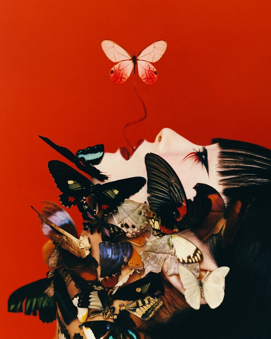 Somewhere Between Reality And Fantasy