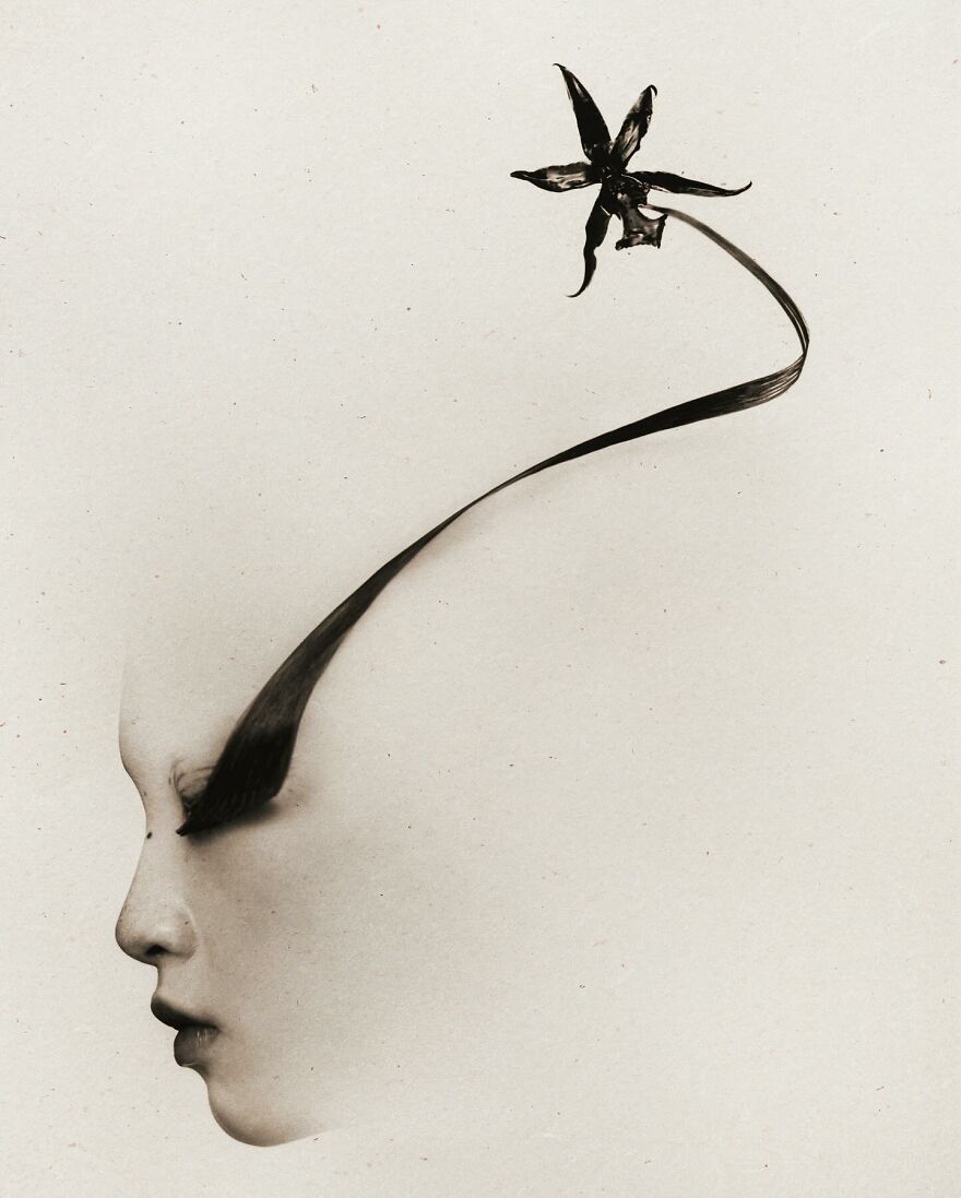 Somewhere Between Reality And Fantasy