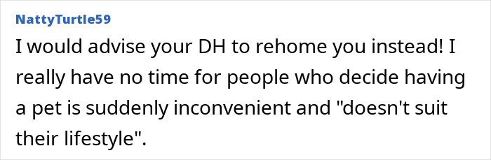 Commenter advising to refuse letting partner rehome cat due to inconvenience and lifestyle changes with pet ownership. Commenter advising to refuse letting partner rehome cat due to inconvenience and lifestyle changes with pet ownership.