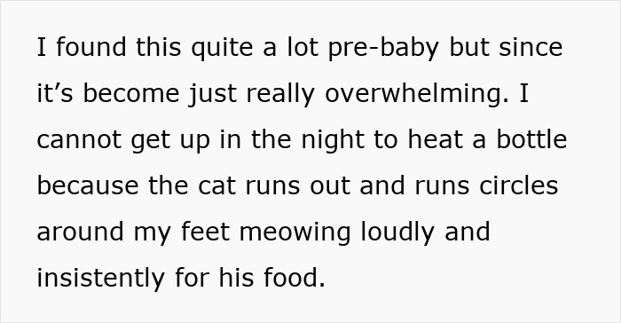 Text describing a cat running around feet meowing loudly and insistently, related to refusing to let rehome cat. Text describing a cat running around feet meowing loudly and insistently, related to refusing to let rehome cat.