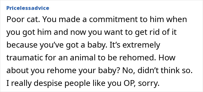 Text excerpt about refusing to let rehome cat, discussing the trauma animals face when being rehomed and commitment to pets. Text excerpt about refusing to let rehome cat, discussing the trauma animals face when being rehomed and commitment to pets.