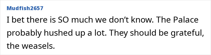 Comment from Mudfish2657 expressing skepticism about hidden truths and criticizing the Palace amid Meghan Markle accused treating kids like accessories. Comment from Mudfish2657 expressing skepticism about hidden truths and criticizing the Palace amid Meghan Markle accused treating kids like accessories.
