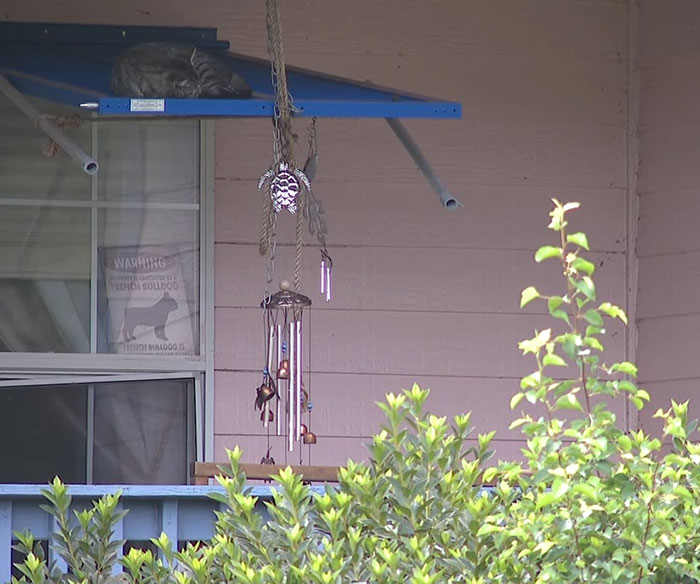 Porch view with a wind chime and window, related to captive woman’s brave cry for help at Jersey Mike’s subs restroom rescue story. Porch view with a wind chime and window, related to captive woman’s brave cry for help at Jersey Mike’s subs restroom rescue story.