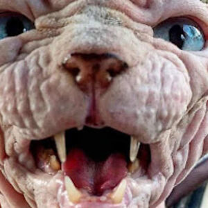 christinehall_3 avatar