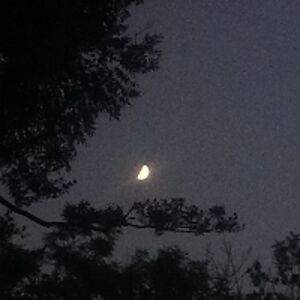 atheverybest91 avatar