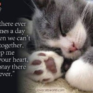 micheleconner avatar