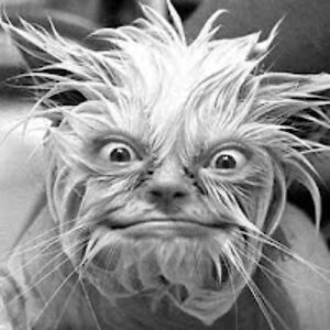 jasonquestionmark avatar