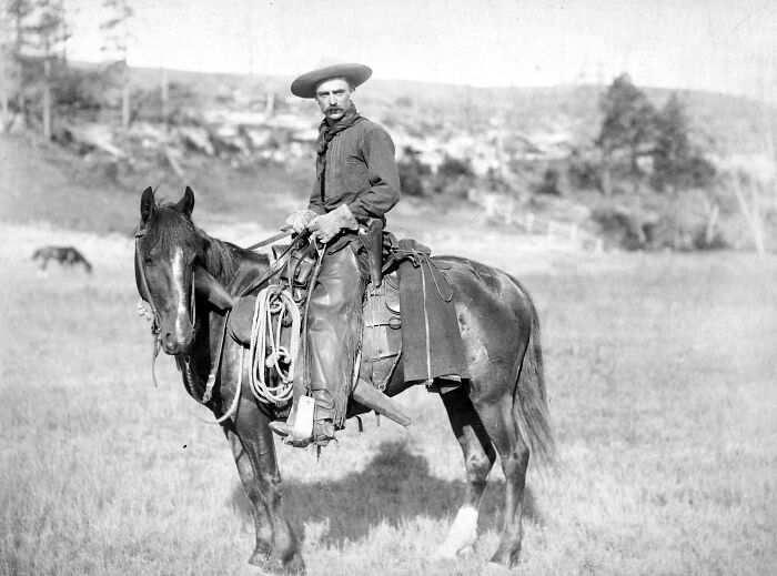 Vintage cowboy on horseback wearing a wide-brimmed hat and leather gear in an open field from the wild west era.