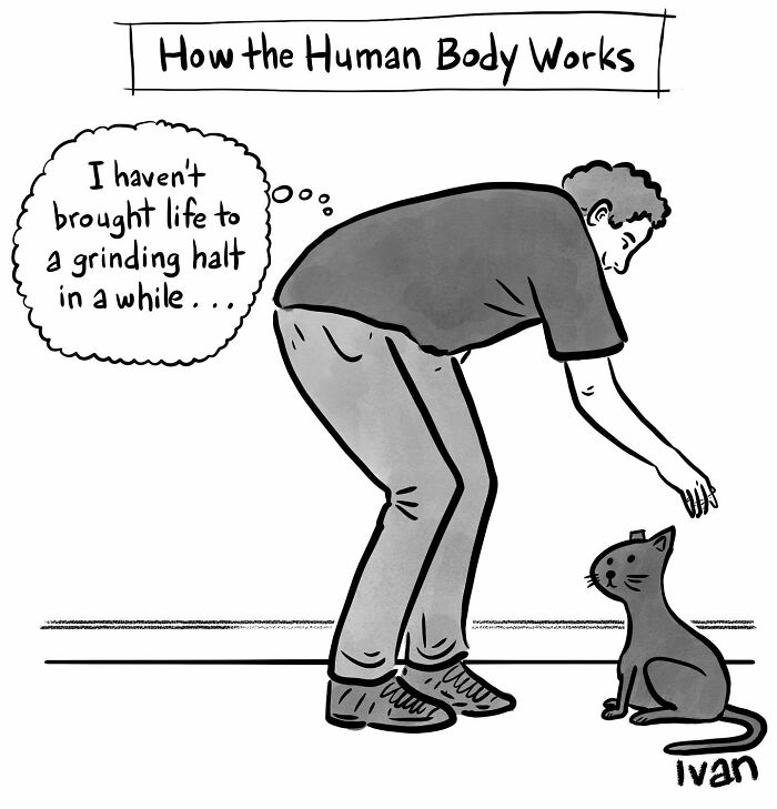 Hilariously unexpected one-panel comic by Ivan Ehlers showing a man thoughtfully interacting with a cat.