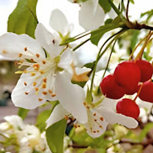 dylanh_molina avatar