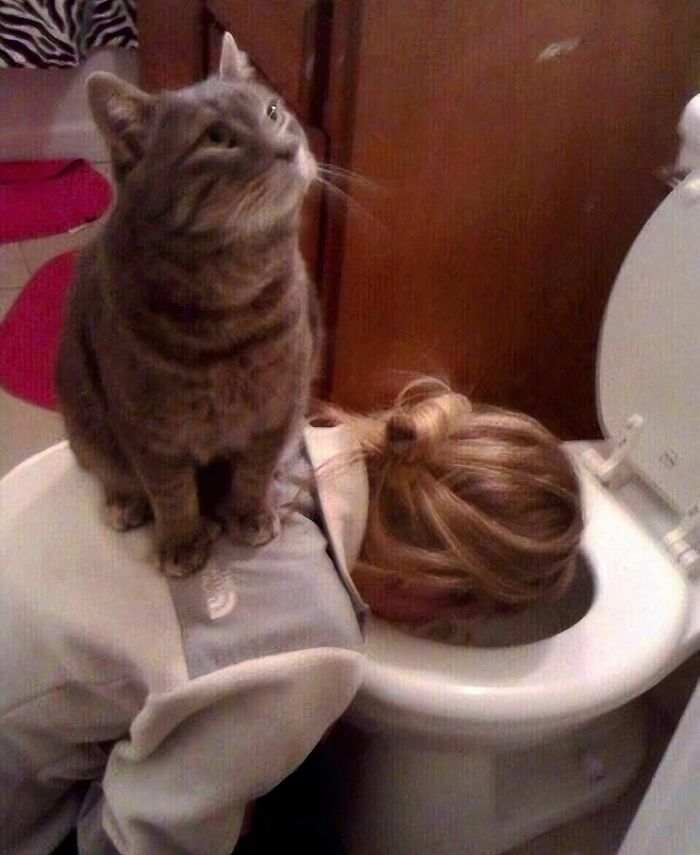 Cat sitting on a person’s back who is leaning over a toilet, illustrating random photos you may not know where to begin processing.