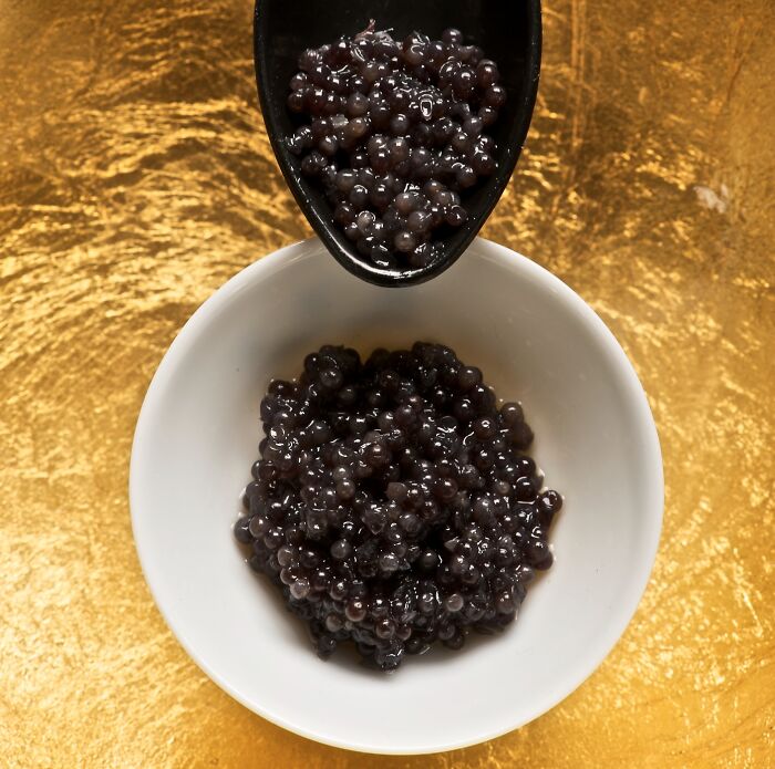 Black tapioca pearls in a white bowl with a black spoon, representing surprising foods banned in the USA.