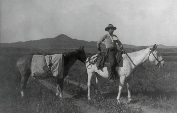Vintage cowboy on horseback with a pack horse in a wide open field, capturing the spirit of the wild west era.