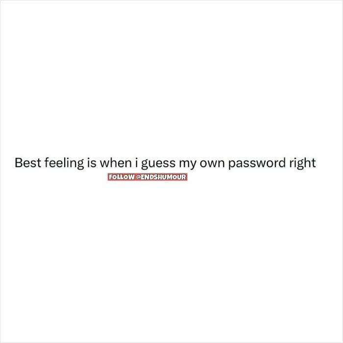 Text post humor about the best feeling when guessing your own password right from Ends Humour.