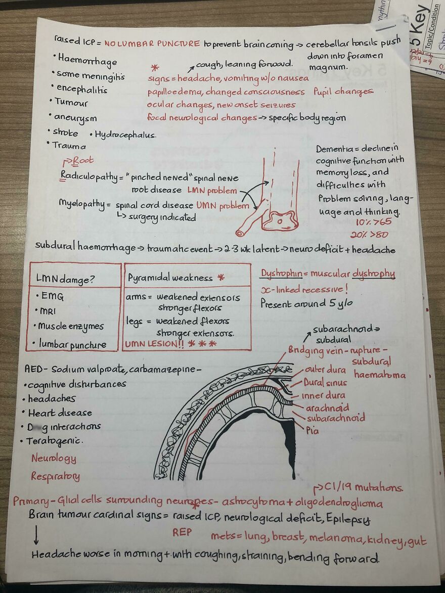Detailed medical notes with perfect handwriting examples showing brain conditions, symptoms, and diagrams for study and reference.