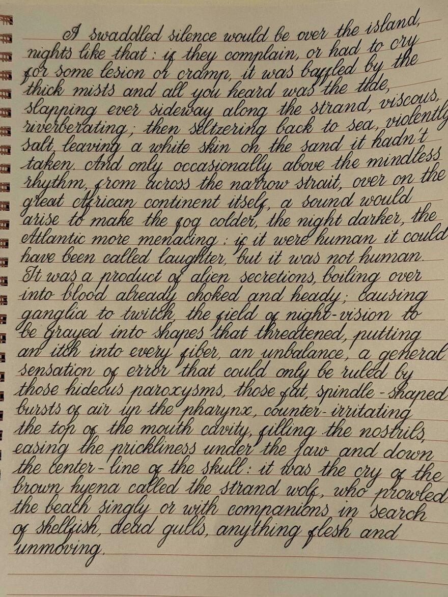Neatly written example of perfect handwriting on lined paper showcasing elegant and consistent cursive style.